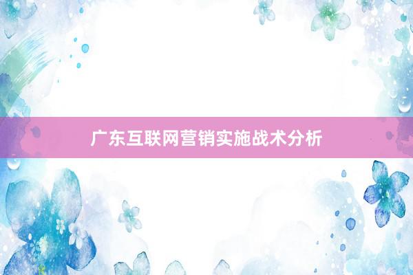广东互联网营销实施战术分析