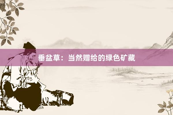 垂盆草：当然赠给的绿色矿藏
